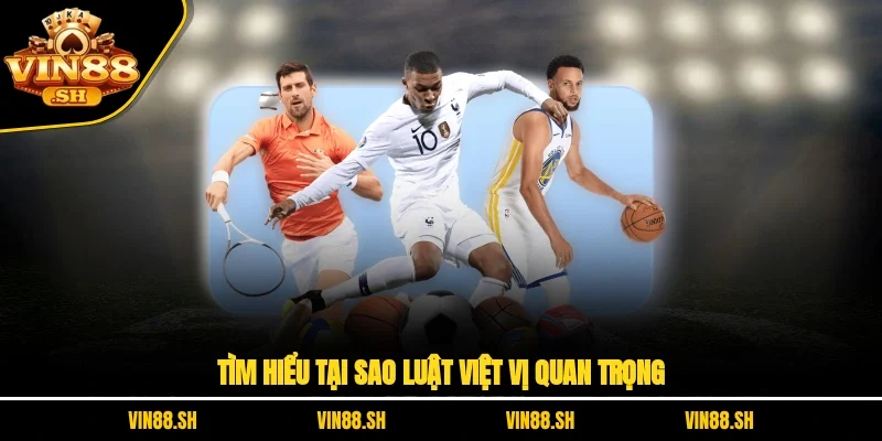 luật việt vị
